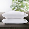 Signature Hem 300TC Cotton Pillowcases - 2 of 4