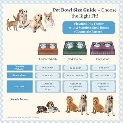 Apricot Brandy Stainless Steel Elevated Dog Feeder with 1 Pint Bowls