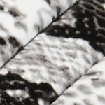 black/white