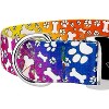 Country Brook Petz HossFit Jr Wide Premium  Dog Collar - Groovy Collection - 4 of 4