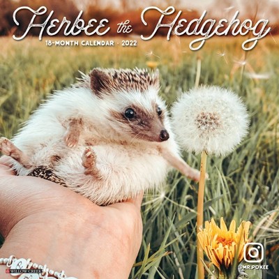 2022 Wall Calendar Herbee The Hedgehog - Willow Creek Press : Target