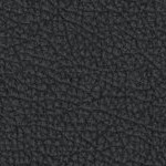 naval academy midshipmen