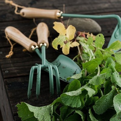 Ash and Mint Stainless Steel Garden Cultivator with Wooden Handle