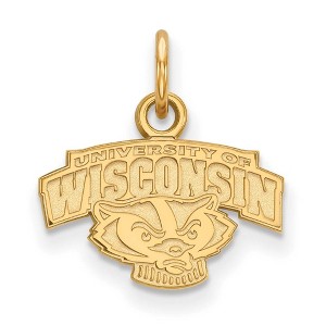 Black Bow Jewelry 10k Yellow Gold Wisconsin Badgers NCAA Extra Small Pendant - 1 of 3