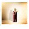 Montale Aoud Safran/ Edp Spray 3.3 Oz (100 Ml) Unisex - 4 of 4