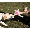 Pet Life Giraffe Cow All Natural Recyclable Jute Rope and Squeak Chew Pet Dog Toy - 3 of 3