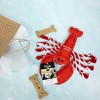 Pavilion Gift Company - Claw-some - 12" Canvas Dog Toy with Rope - Pet Toy - 4 of 4