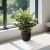KWPZQEB 4 Pieces Ceramic Flowerpot, Indoor Flower Pots Set with Drainage Holes, Outdoor Garden Planters with Creative Stripe for Patio, Garden - 3 of 4