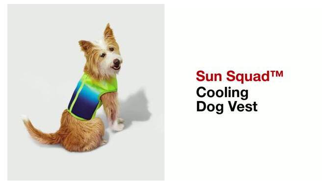 Cooling Dog Vest - Sun Squad™, 2 of 6, play video