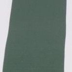 tan/hunter green striped