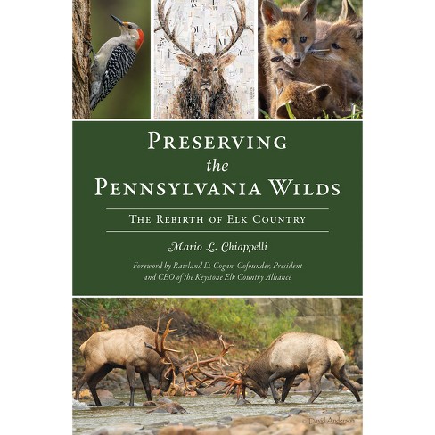 Preserving The Pennsylvania Wilds - By Mario Chiappelli (paperback ...