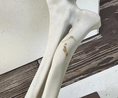 Guest review image 1 of 1, zoom in