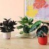 Traditional Ivy Artificial Plant - Room Essentials™ - 2 of 4