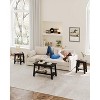 2-Tier Farmhouse End Table - Narrow Side Table with Storage Shelf for Bedroom/Living Room - 2 of 4