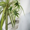 2pcs Artificial Hanging Plants With Pot,PE Plastic Faux Chlorophytum Comosum Hanging Plant Decor For Outdoor Indoor Home Garden Office - 4 of 4