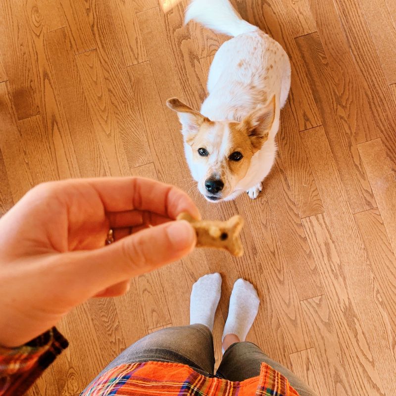 Old Mother Hubbard by Wellness Classic Crunchy P-Nuttier Biscuits Mini Oven Baked with Carrot, Apple and Chicken Flavor Dog Treats, 4 of 11