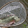 Fly Fishing Net, Wooden Frame Fishing Landing Net with Clear Soft Rubber Mesh, Fish Nets - 4 of 4