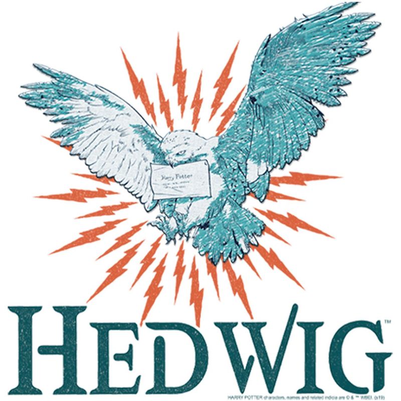 Boy's Harry Potter Hedwig Owl Flight T-Shirt, 2 of 6