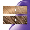 L'Oreal Paris EverPure Sulfate Free Purple Shampoo for Colored Hair - image 3 of 4