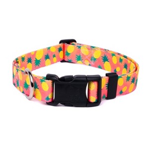Country Brook Petz Deluxe Dog Collar - Made in The U.S.A. - Tasty Collection - 1 of 4
