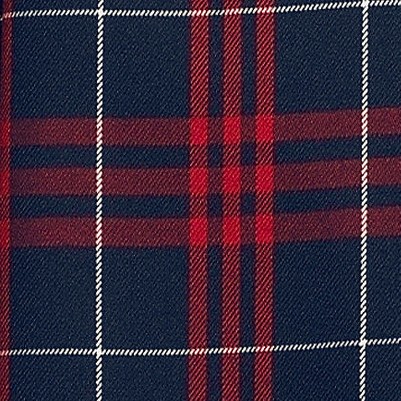 classic navy large plaid