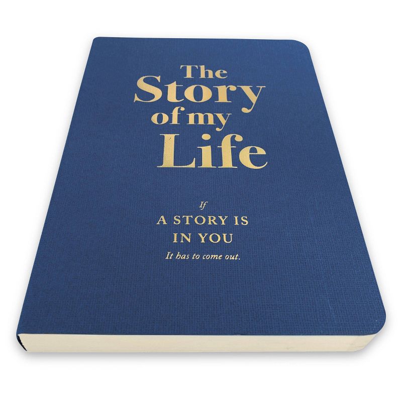 The Story of My Life Activity Journal - Piccadilly, 3 of 11