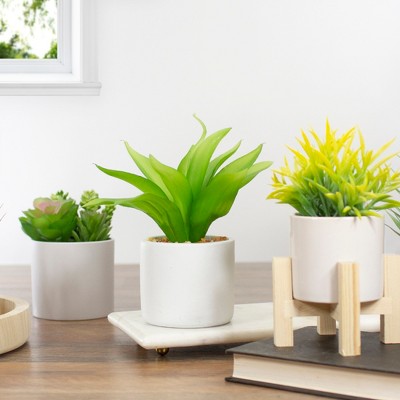 Nordic Green Artificial Aloe Plant in White Concrete Pot