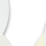 white, yellow
