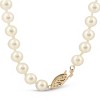 Pompeii3 16" 14K Yellow Gold Freshwater Cultured Pearl Necklace 5-5.5mm - 4 of 4