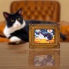 Pavilion Gift Company - Tuxedo - Van Meow - 3.5" x 5" Framed Canvas - Wall Sign Panels - 2 of 4