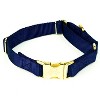 Country Brook Petz Heavyduty Nylon Martingale with Premium Buckle - 4 of 4