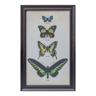 Set of 2 Encyclopedia Butterfly Prints with Black Metal Frames
