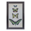 Melrose Framed Encyclopedia Butterfly Print (Set of 2) - image 3 of 4