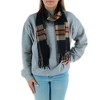 David & Young Soft Plaid Winter Scarf - 4 of 4