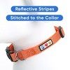Reflective Dog Collar - 4 of 4