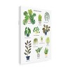 Trademark Fine Art - Sarah Frances Indoor Plants Canvas Art - 4 of 4
