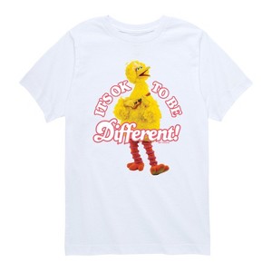 Boys' - Sesame Street - Its Ok To Be Different Short Sleeve Graphic T-Shirt - 1 of 4