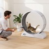 VEVOR Cat Exercise Wheel, 31.5 in, Large Cat Running Wheel with Secure Brake & Carpeted Runway, Quiet Operation Cat Treadmill - 2 of 4