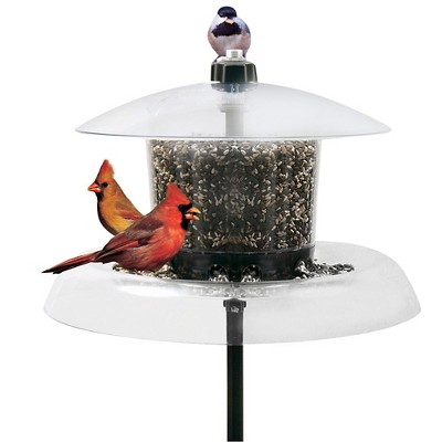Droll Yankees Jagunda Squirrel Proof Bird Feeder Clear 18 5