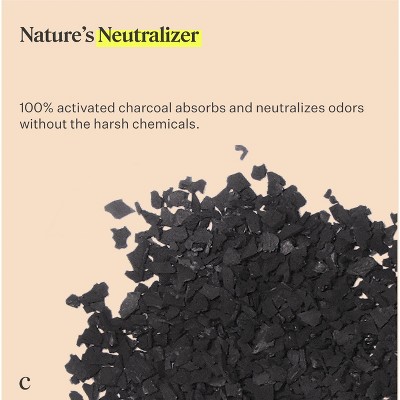 Coop Home Goods Natural Charcoal Deodorizer 550g Target