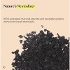 Coop Home Goods Natural Charcoal Deodorizer - image 3 of 3