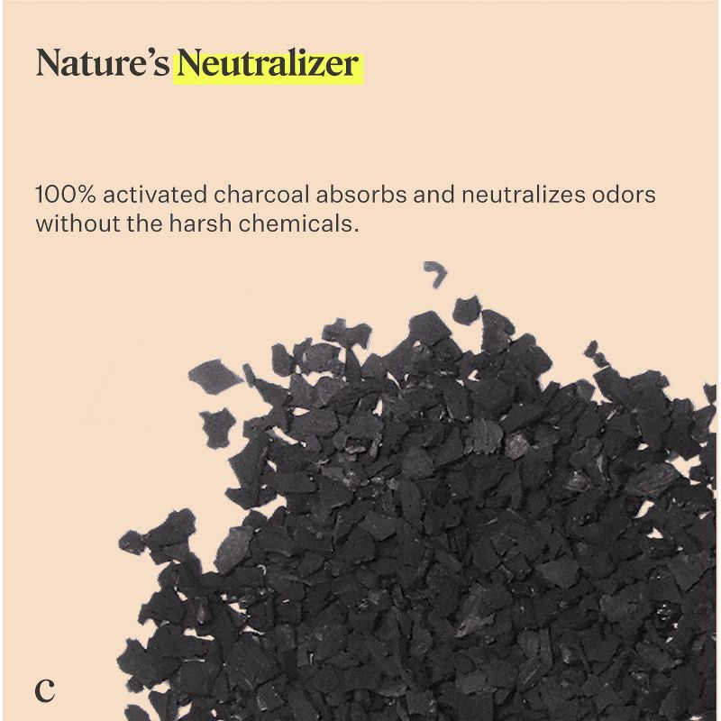 Coop Home Goods Natural Charcoal Deodorizer, 3 of 5