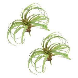 Unique Bargains Outdoor Floral Decoration Artificial Plants Fake Tillandsia 8" - 1 of 4