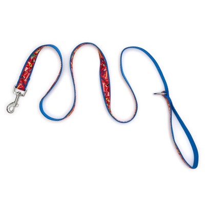 The Worthy Dog Tools Pet Leash Red S Target