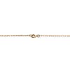 Black Bow Jewelry 0.95mm, 14k Yellow Gold, Cable Rope Chain Necklace - 4 of 4