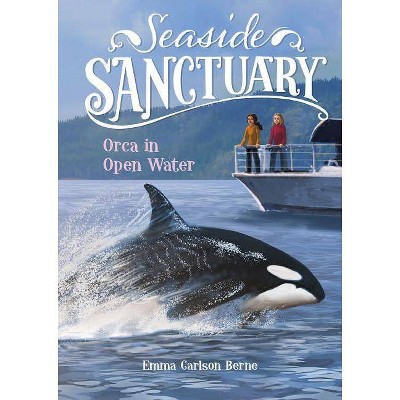 Orca in Open Water - (Seaside Sanctuary) by  Emma Bernay & Emma Carlson Berne (Paperback)