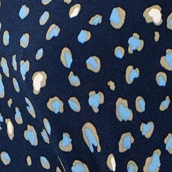 navy leopards
