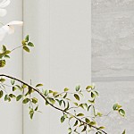 beige/teak