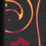 minnesota golden gophers