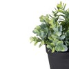 Northlight 10" Green Artificial Melia Azedarach Plant in Black Pot - 4 of 4